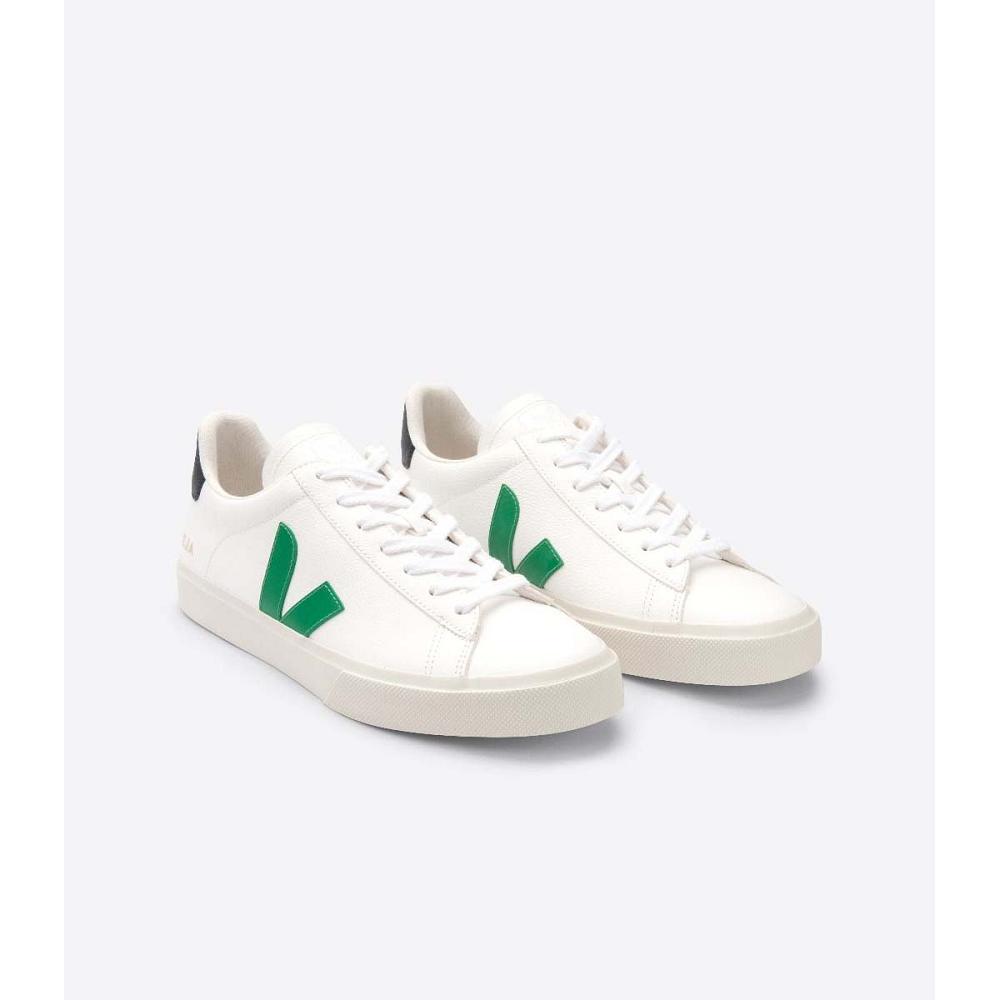 Low Tops Sneakers ανδρικα Veja CAMPO CHROMEFREE White/Black | GR 204JPQ